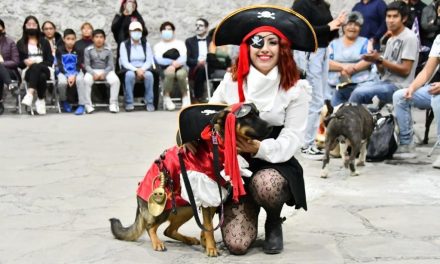 Participaron 45 perritos en el concurso de disfraces “Perrorífico”