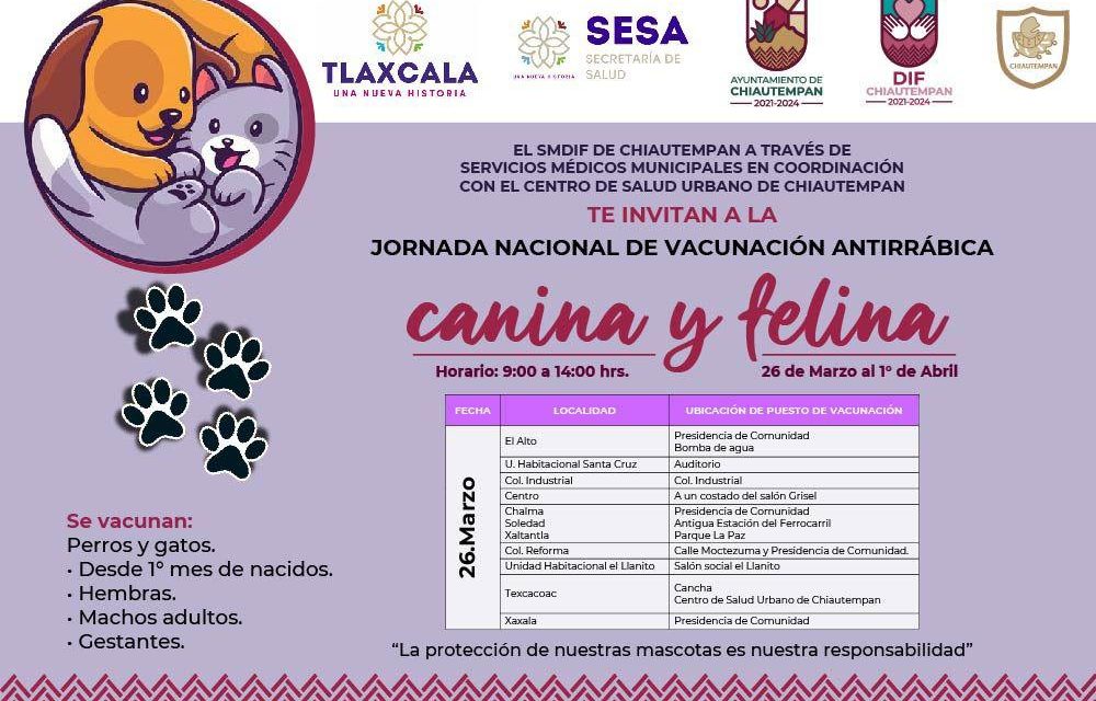 Invita Ayuntamiento de Chiautempan a Jornada de vacunación canina y felina