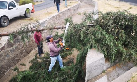 Atiende Protección Civil y Seguridad de Huamantla afectaciones por fuertes vientos