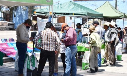 Impulsa Ayuntamiento el consumo local a través del tianguis «Mis semillas huamantlecas»