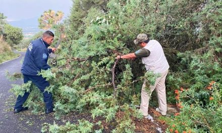 Activa Protección civil de Huamantla operativo de seguridad tras fuerte lluvia