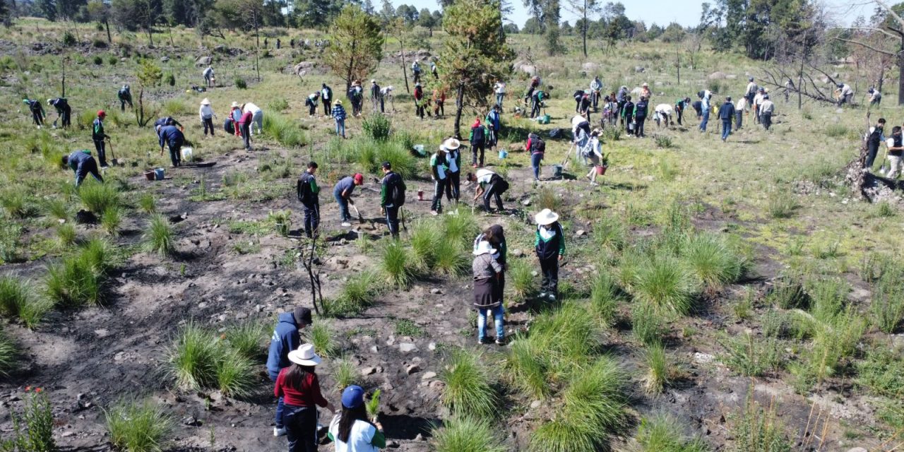 Inicia Ayuntamiento de Chiautempan campaña de reforestación 2023