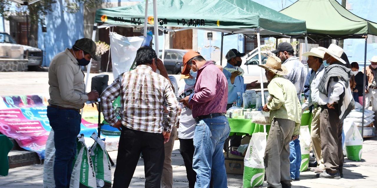 Informa Ayuntamiento de Huamantla cambio de sede del tianguis agropecuario «Ms semillas huamantlecas»