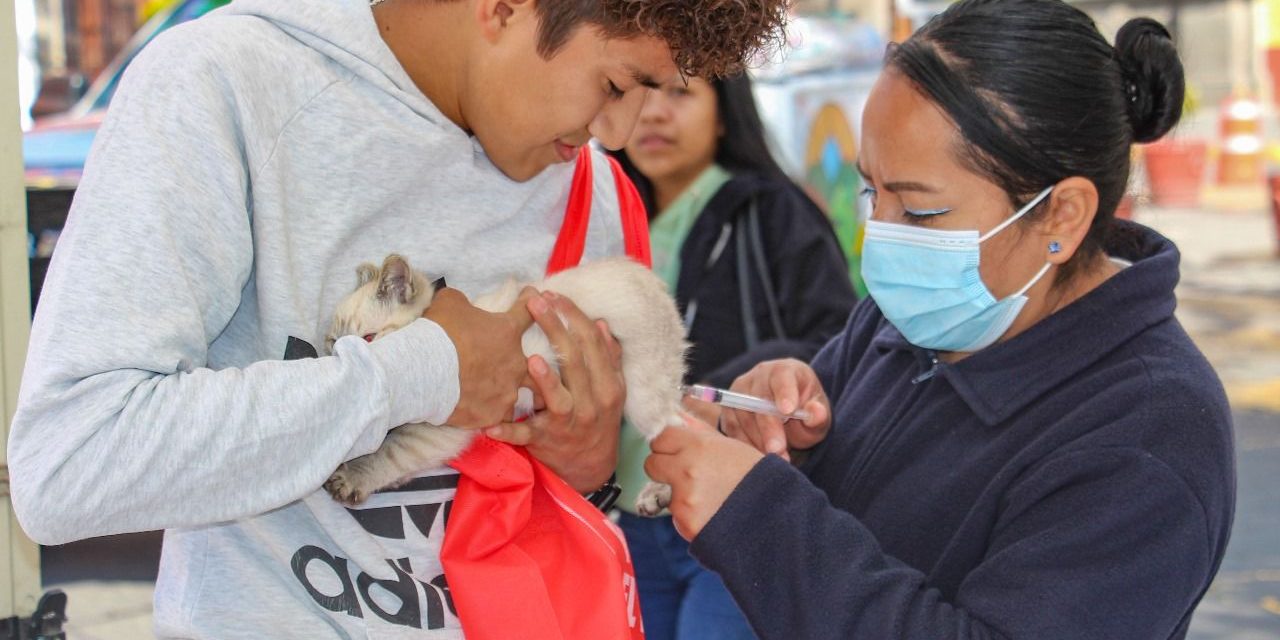 Invita Ayuntamiento a últimos días de vacunación antirrábica canina y felina en Huamantla