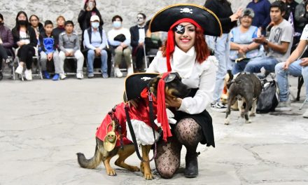 Invita gobierno de Huamantla a la tercera edición del concurso de mascotas «perrorífico»