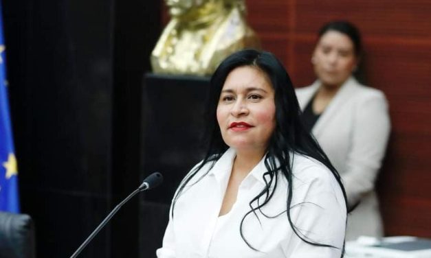 El último tramo de la LXV Legislatura, el inicio de grandes discusiones en temas trascendentales: Ana Lilia Rivera