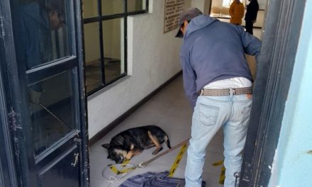 Unidad Canina de Huamantla brinda apoyo en el traslado de un animal enfermo